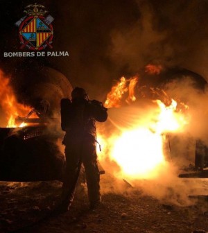 incendio-paltja-palma