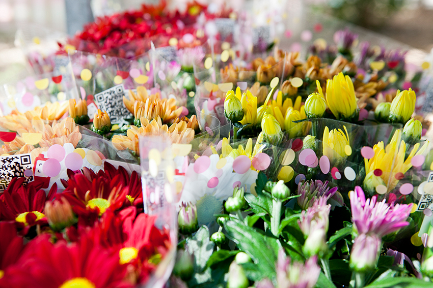 La variedad de flores y plantas que encontramos en este invernadero satisface la demanda de la clientela más exigente FOTO Sendra