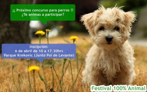 Concurso para perros