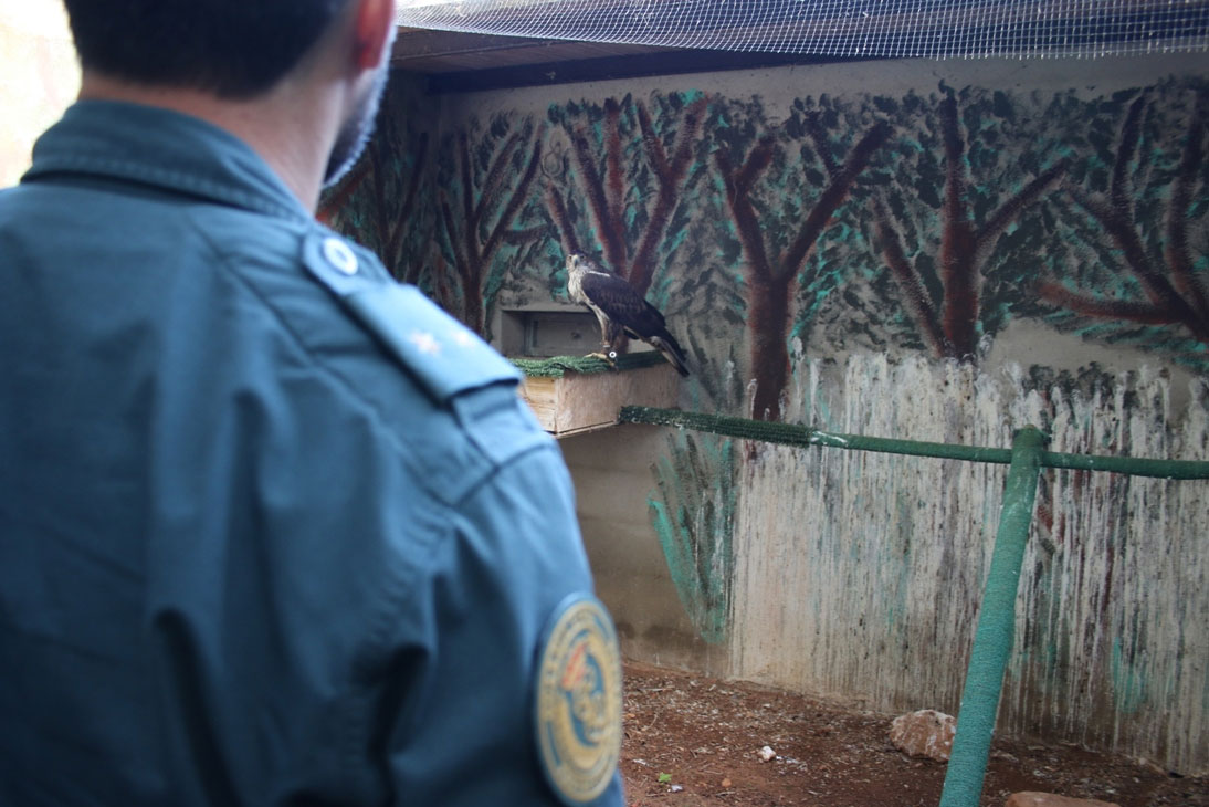 aves-guardia-civil-baleraes