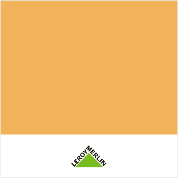 spot_img