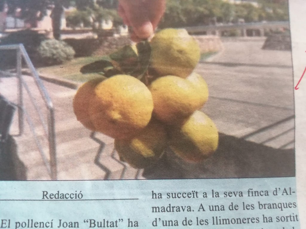 @ 29 Nou WhatsApp Image 2021-08-01 at 03.16.17