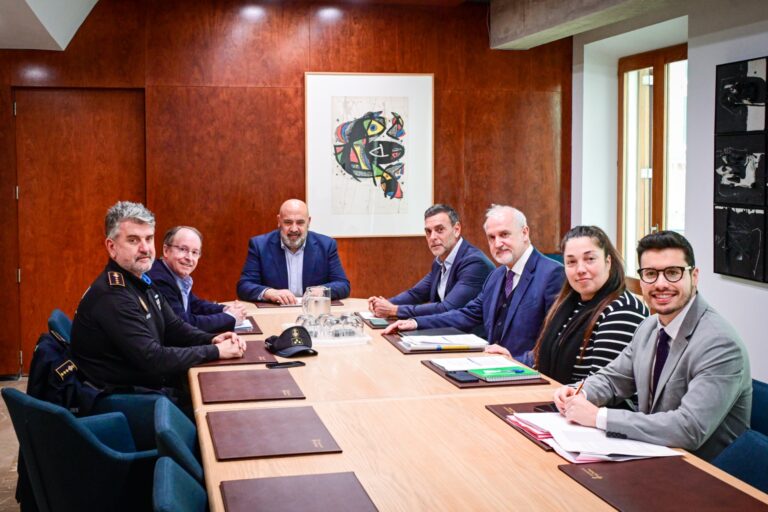 Cort se compromete a reforzar la seguridad en Platja de Palma