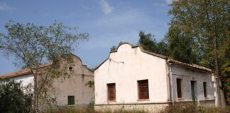 Palma exigirá a Casa 47 un mínimo de cinco años de residencia en Baleares para optar a las viviendas de Son Busquets