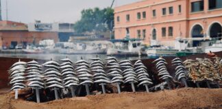 Palma declara de interés público municipal la II Fira de la Sardina