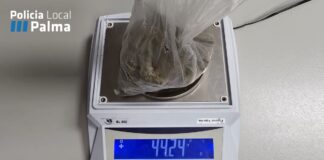 Cae un punto de venta de drogas en Son Banya