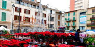 Inca adelanta a los miércoles el mercado por Navidad y Año Nuevo