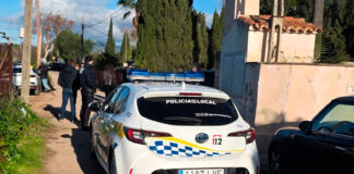 Desmantelan una fiesta ilegal en la carretera de Sóller