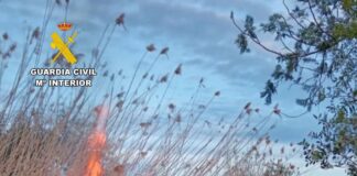 Detenido el incendiario de S’Albufera