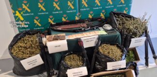 Cae en Marratxí un laboratorio de hachís con 50 kilos de marihuana