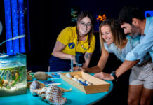 Fiesta benéfica en Palma Aquarium por el Día de Baleares