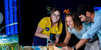 Fiesta benéfica en Palma Aquarium por el Día de Baleares