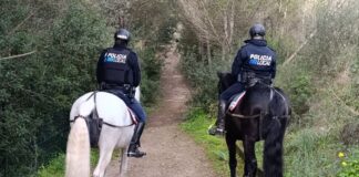 Más de 1.500 escolares visitaron la Unidad Montada de la Policía Local de Palma en 2025