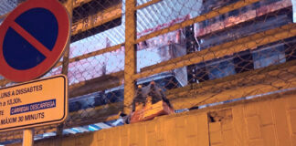 Pillados in fraganti robando en un hipermercado de Palma