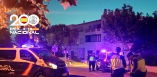 Detenido en Palma por atropellar a un peatón y huir