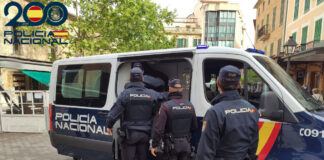 Cazan a dos ladrones en plena fuga tras forzar coches en Palma