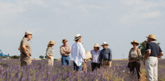 Odio, ambición y venganza desatada en ‘Entre Tierras’