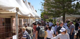 Calvià atrae a 15.000 personas a su XXVI Fira d’Oví i Caprí