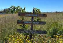 Més per Marratxí exige a AENA que cumpla con sus promesas con Son Bonet Pulmó Verd