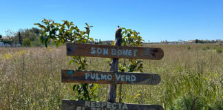 Més per Marratxí exige a AENA que cumpla con sus promesas con Son Bonet Pulmó Verd