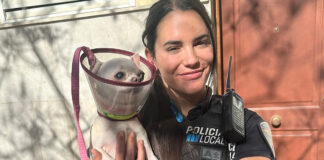 Salvan a una perrita sola en una vivienda en llamas en Palma