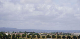 Marratxí planta cara a AENA con el rechazo total al parque solar de Son Bonet