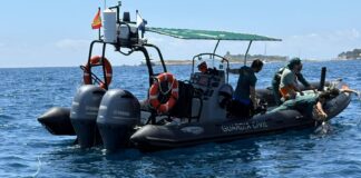 Dos tiburones muertos con heridas extremas hallados en Mallorca