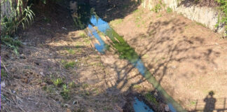 Més per Marratxí denuncia vertidos residuales en el torrent de Coanegra