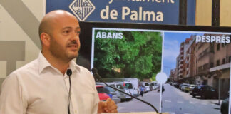 Més per Palma acusa al PP de erradicar los árboles de Palma