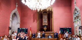 El Consell aprueba la Ley de regulación de afluencia de vehículos en Mallorca