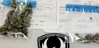 La Policía Local de Palma requisa en Son Gotleu 17 dosis de marihuana