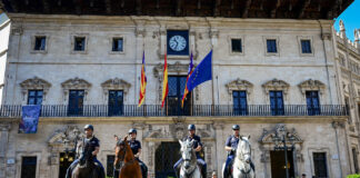 Así son Bolero y Sirius, los dos nuevos potros que vigilarán el centro y los parques de Palma