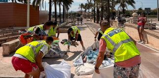 Ofensiva contra el ‘botellón’ y la venta ilegal en Platja de Palma