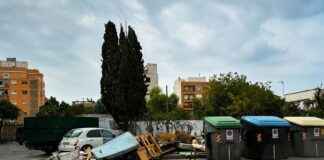 Limpieza a fondo de Emaya en Son Gotleu