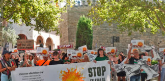 Palma se concentra contra las galeras con caballos