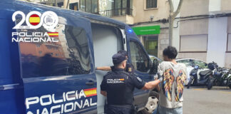 Cinco rumanos detenidos en Mallorca por robar carteras a turistas y personas mayores