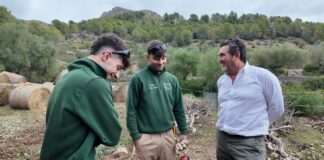 Calvià forma a jóvenes como peones forestales